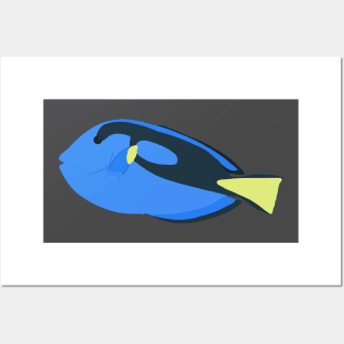 Blue Tang Fish Posters and Art